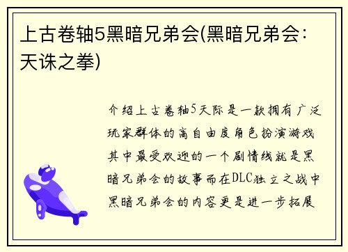 上古卷轴5黑暗兄弟会(黑暗兄弟会：天诛之拳)
